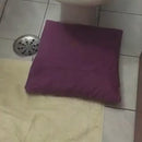 Kit Premium Blindagem e Limpeza de Tapetes Linha Pet