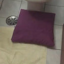 Combo Pipi Shielding | Blindagem de Tapetes e Estofados