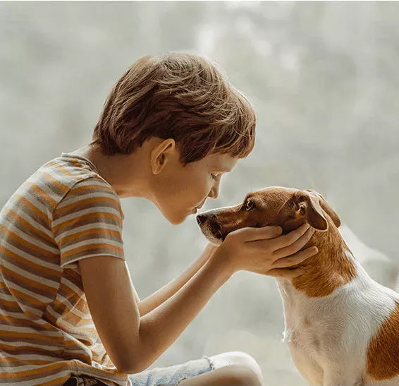 A Importância da Interação entre Crianças e Pets