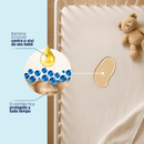 Pipi Shielding Baby | Blindagem de Colchões e Estofados