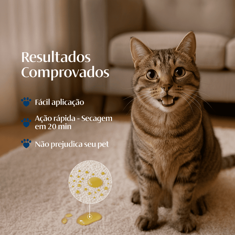 Pipi Shielding | Blindagem de Tapetes Contra Xixi de Pet