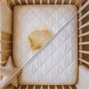 Pipi Cleaning Baby | Limpeza de xixi com bloqueador de odor