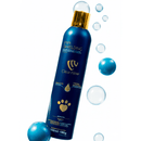 Pipi Shielding | Blindagem de Tapetes Contra Xixi de Pet