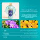 Kit Lava Roupas Liquido Ultra Concentrado Luxury CleanNew + Caixa Influencer Premium